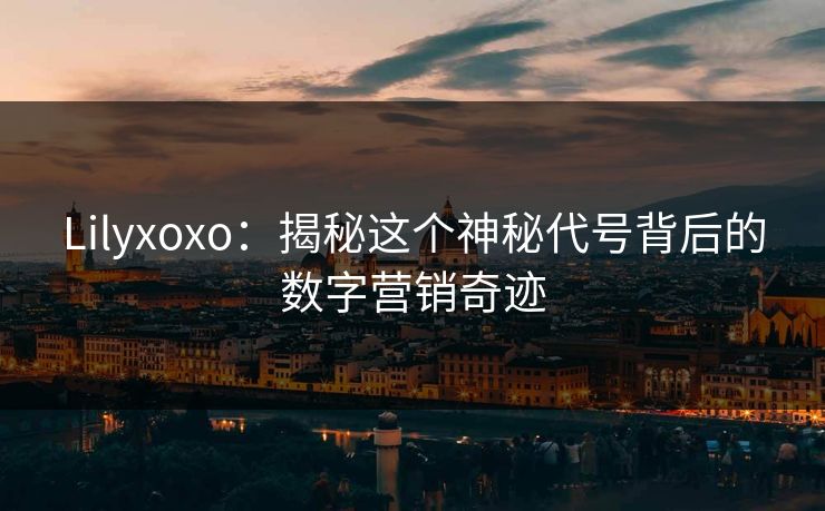 Lilyxoxo：揭秘这个神秘代号背后的数字营销奇迹  第1张