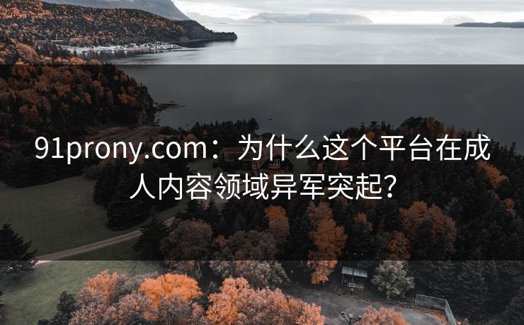 91prony.com:为什么这个平台在成人内容领域异军突起? 91prony.com:为什么这个平台在成人内容领域异军突起?
