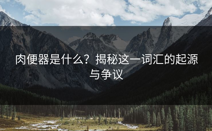 肉便器是什么？揭秘这一词汇的起源与争议  第1张